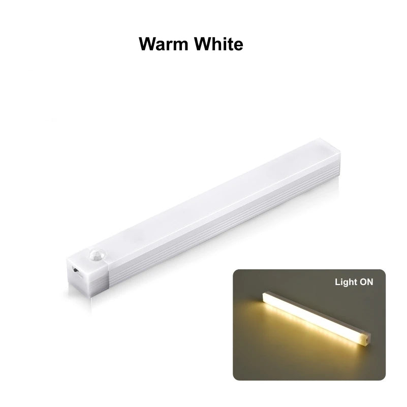 Wireless motion detectable LED Light